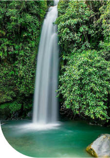 Statistika Pariwisata 2022